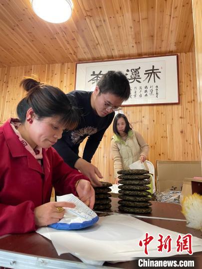 資料圖：杜贏(左二)在整理白茶餅?！×执阂?攝